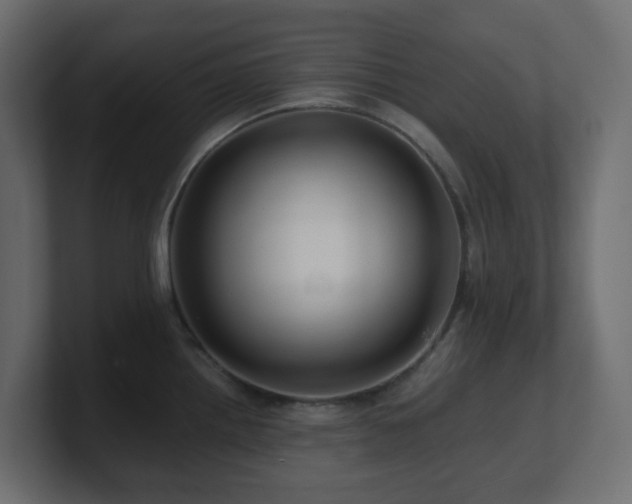 X0000101101242200806261505
