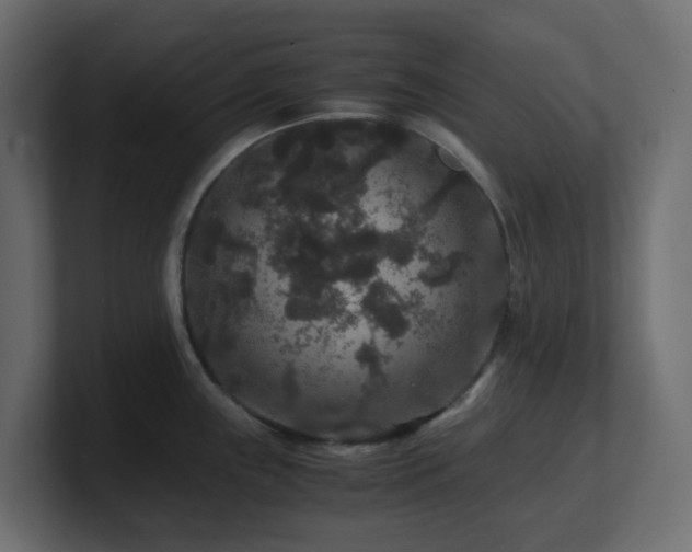 X0000101101243200806261505