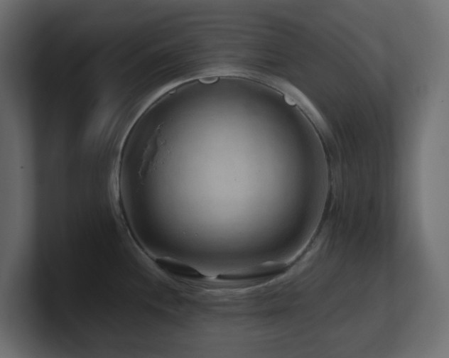 X0000101101244200806261505