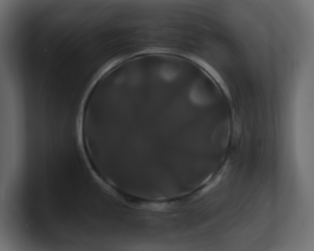 X0000101101245200806261505