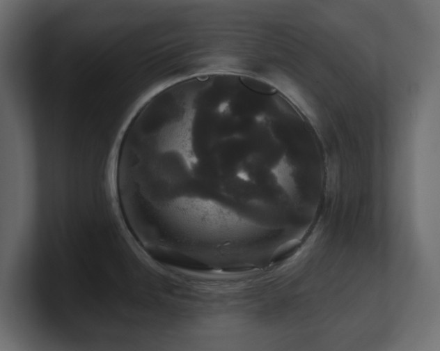X0000101101246200806261505