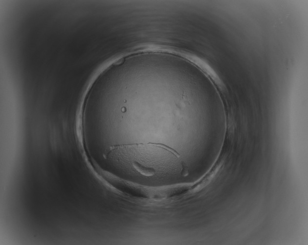 X0000101101247200806261505