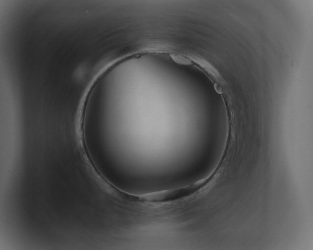 X0000101101248200806261505