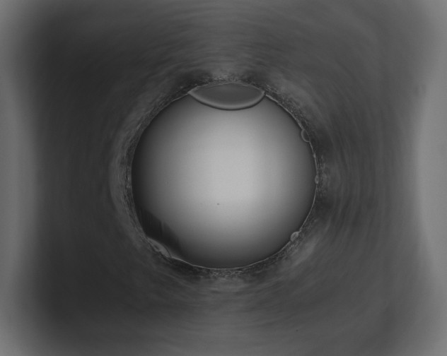 X0000101101249200806261505