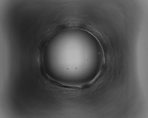 X0000101101250200806261505