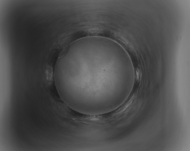 X0000101101251200806261505