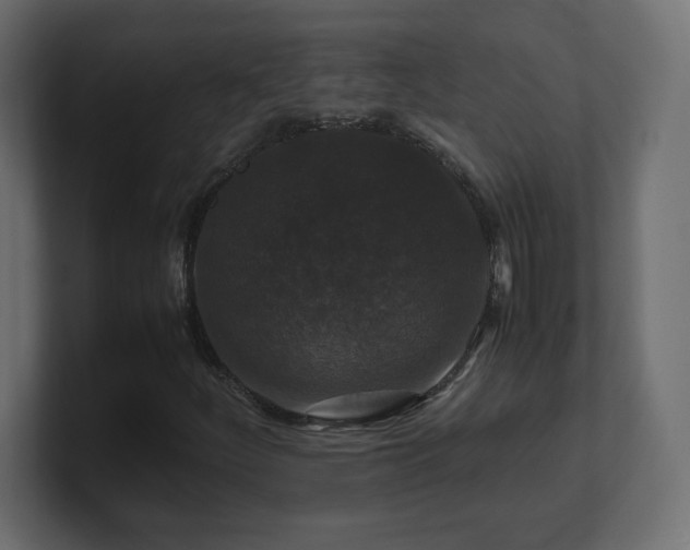 X0000101101252200806261505