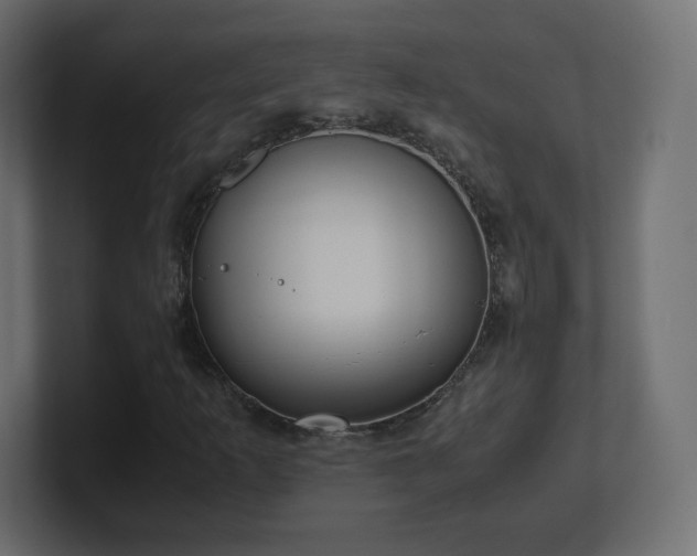 X0000101101253200806261505