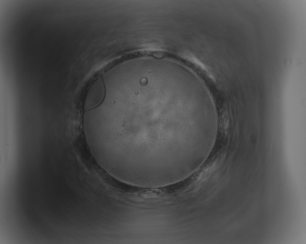 X0000101101255200806261505