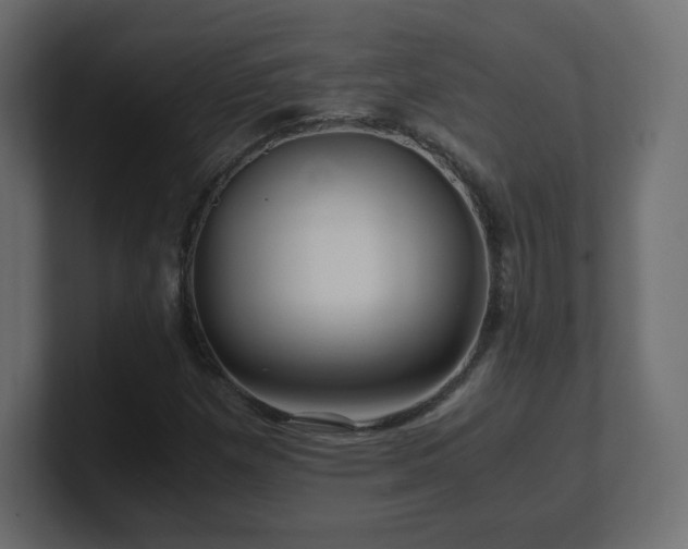X0000101101257200806261505