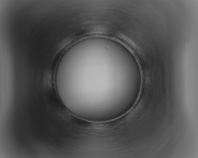 X0000101101258200806261505