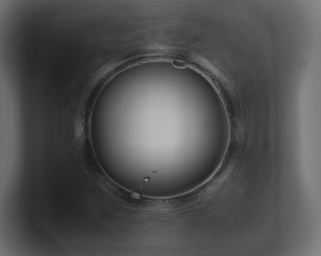X0000101101259200806261505