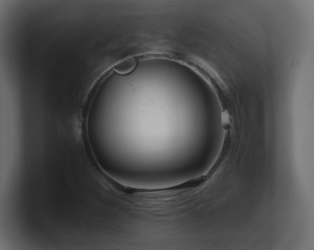 X0000101101260200806261505