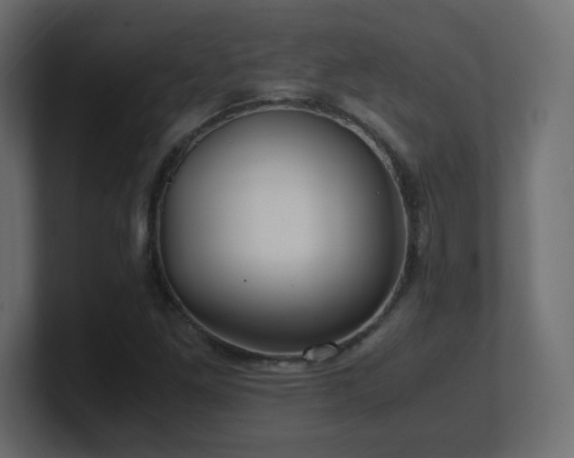 X0000101101261200806261505