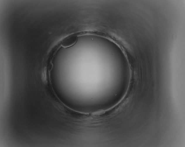 X0000101101262200806261505