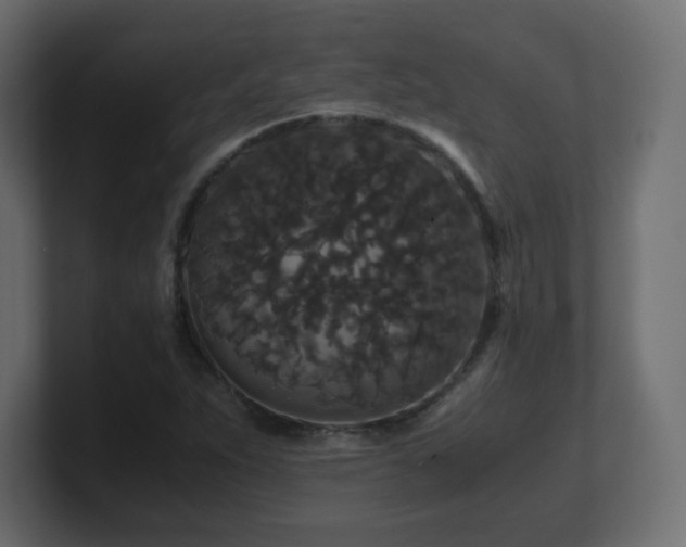X0000101101263200806261505