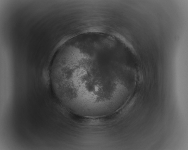 X0000101101266200806261505