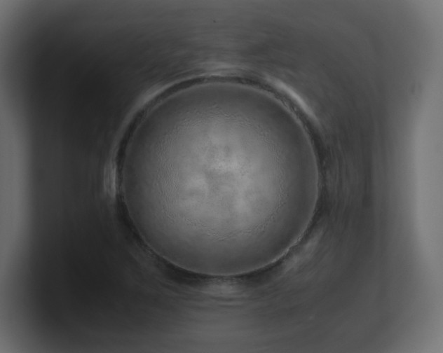 X0000101101267200806261505