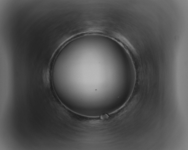 X0000101101268200806261505