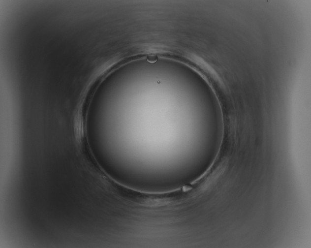 X0000101101269200806261505