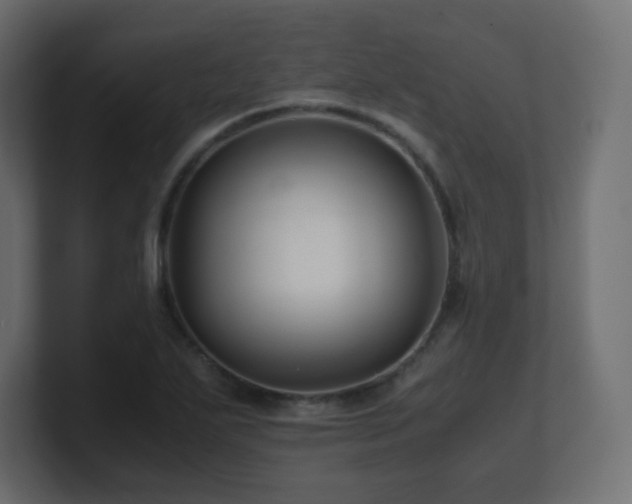 X0000101101271200806261504