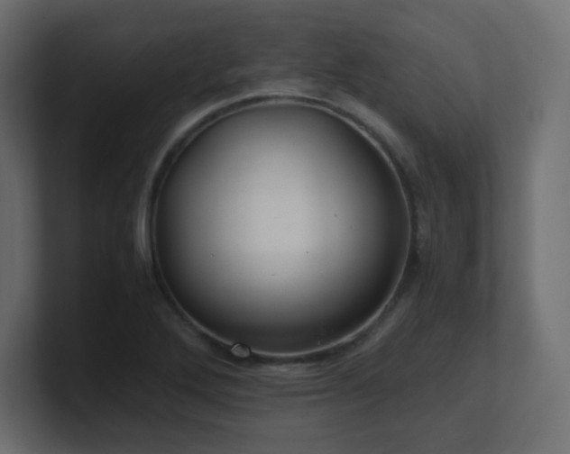 X0000101101272200806261504