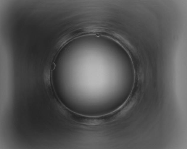 X0000101101273200806261504