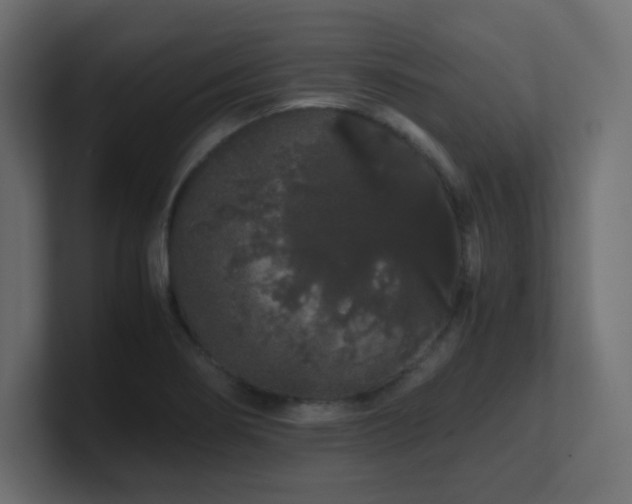 X0000101101274200806261504