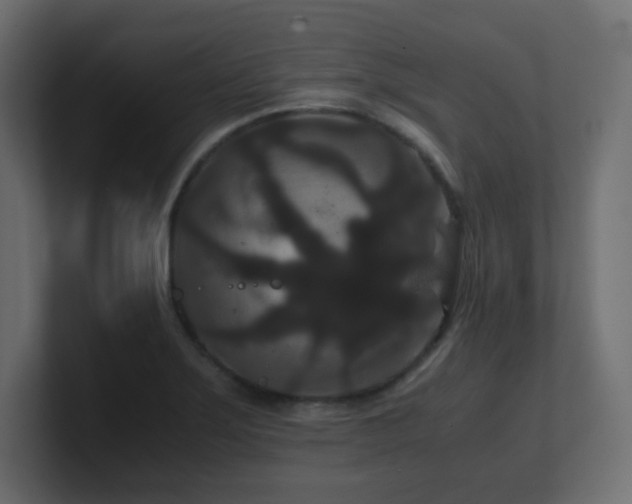 X0000101101275200806261504