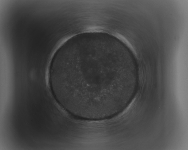 X0000101101277200806261504