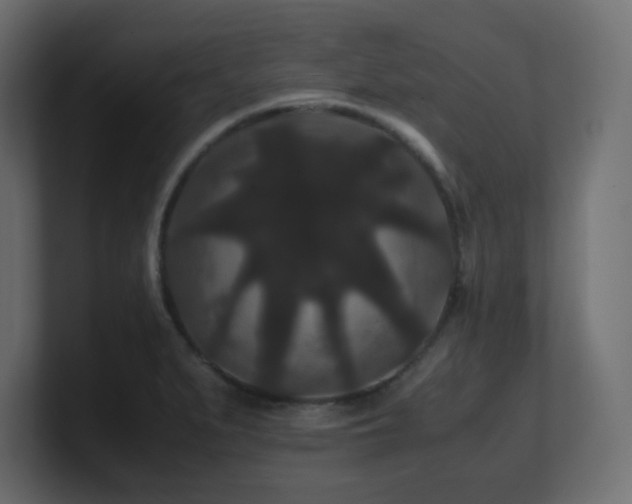 X0000101101279200806261504