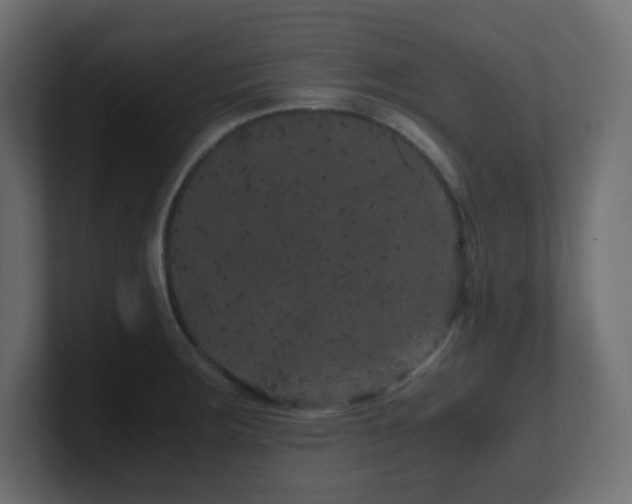 X0000101101283200806261504