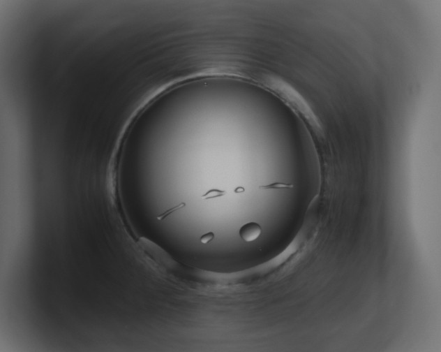 X0000101101284200806261504