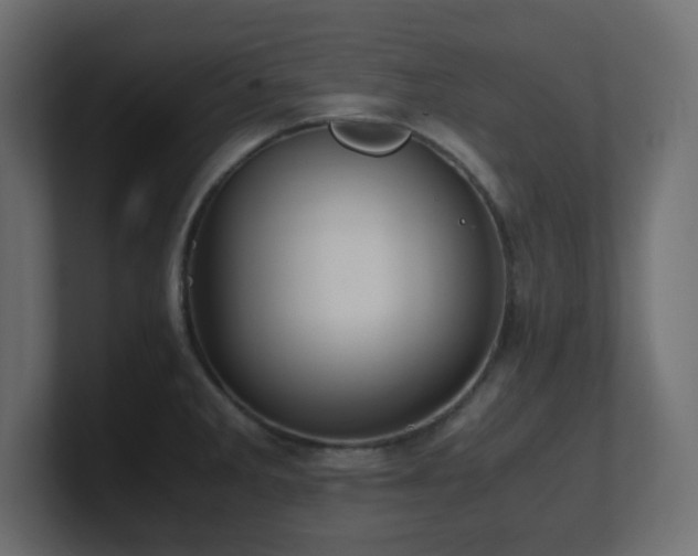 X0000101101285200806261504