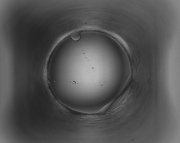 X0000101101287200806261504