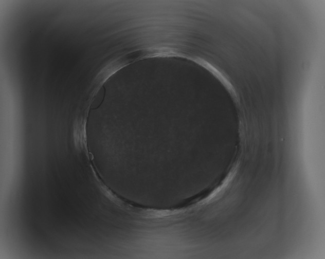 X0000101101289200806261504