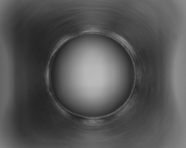 X0000101101290200806261504