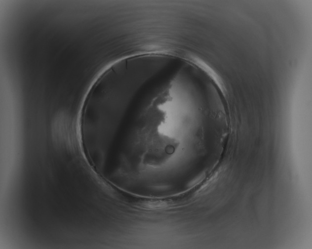 X0000101101291200806261504