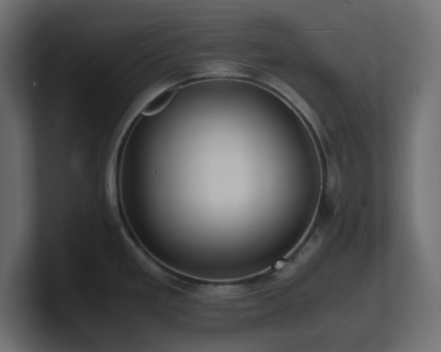 X0000101101293200806261504