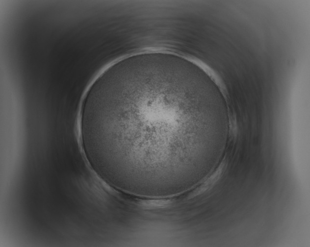 X0000101101294200806261504