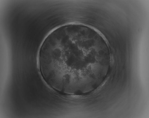 X0000101101295200806261504