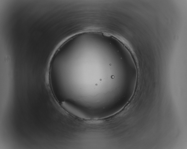 X0000101101296200806261504