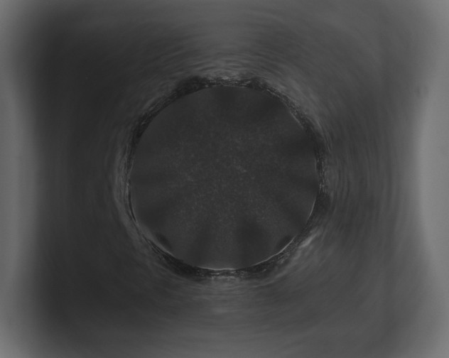 X0000101101297200806261504