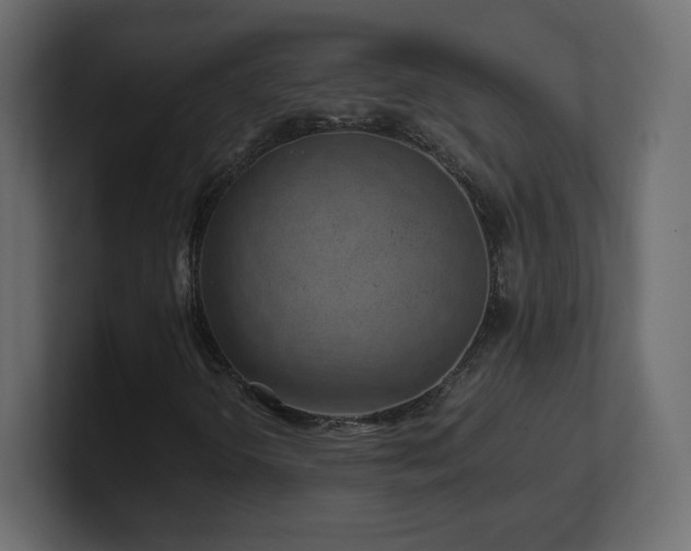 X0000101101298200806261504