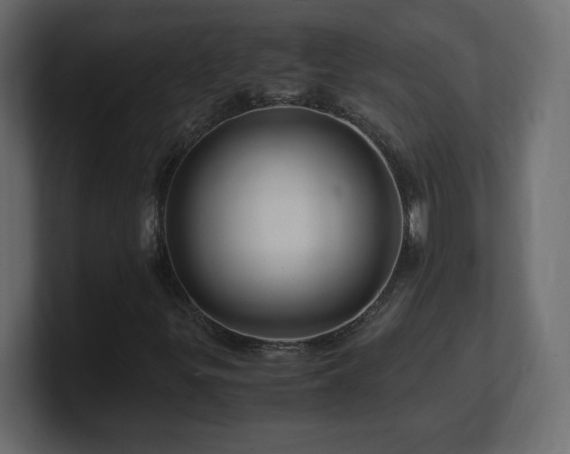 X0000101101299200806261504