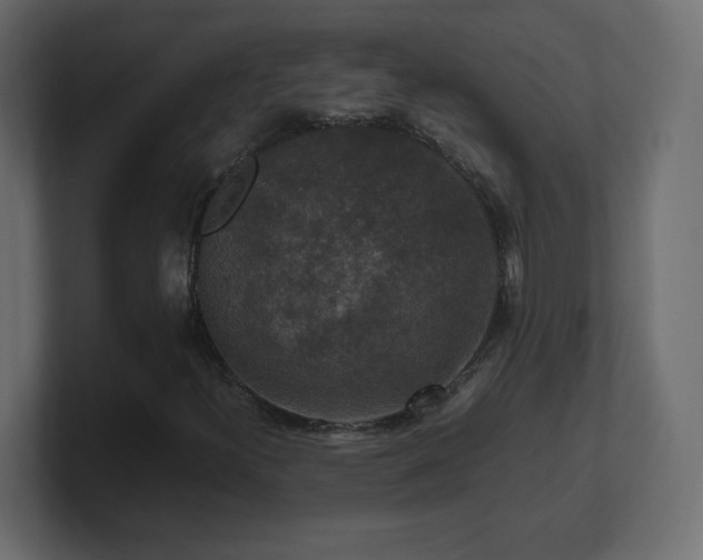 X0000101101300200806261504