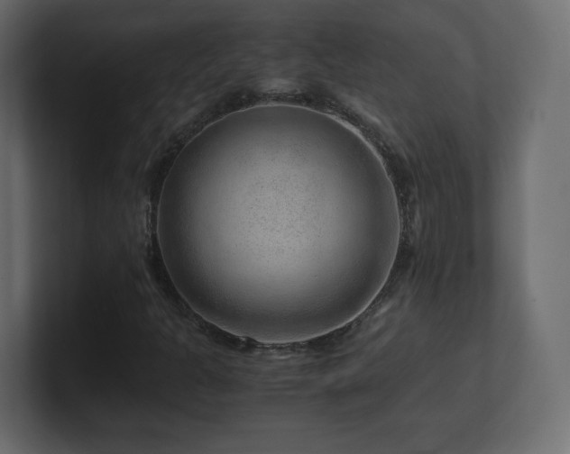 X0000101101301200806261504