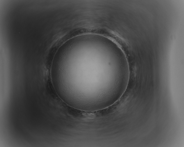 X0000101101302200806261504