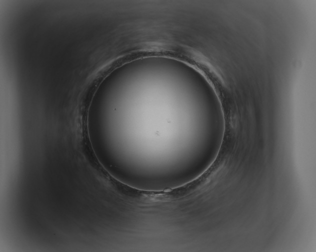 X0000101101304200806261504