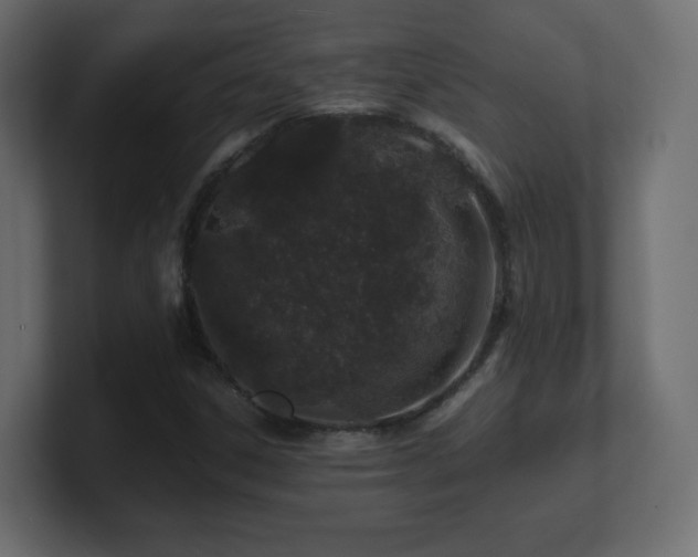 X0000101101306200806261504